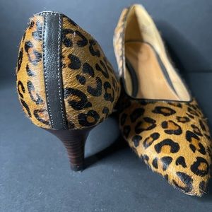Animal print kitten heel pumps by Clark’s